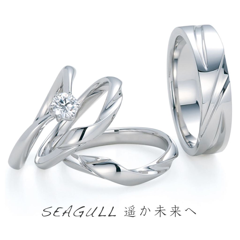 AFFLUX SEAGULL 「遥か未来へ」