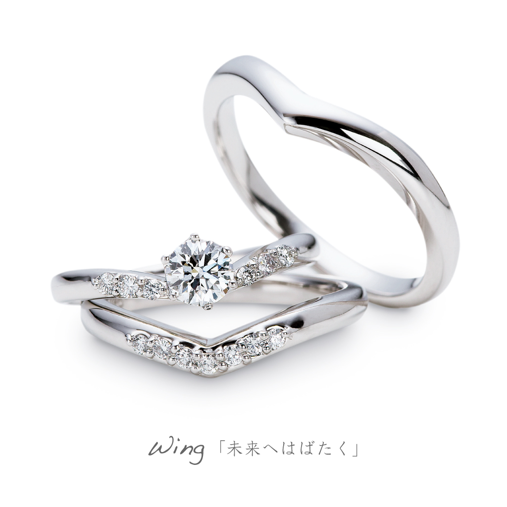 AFFLUX Wing 「未来へはばたく」