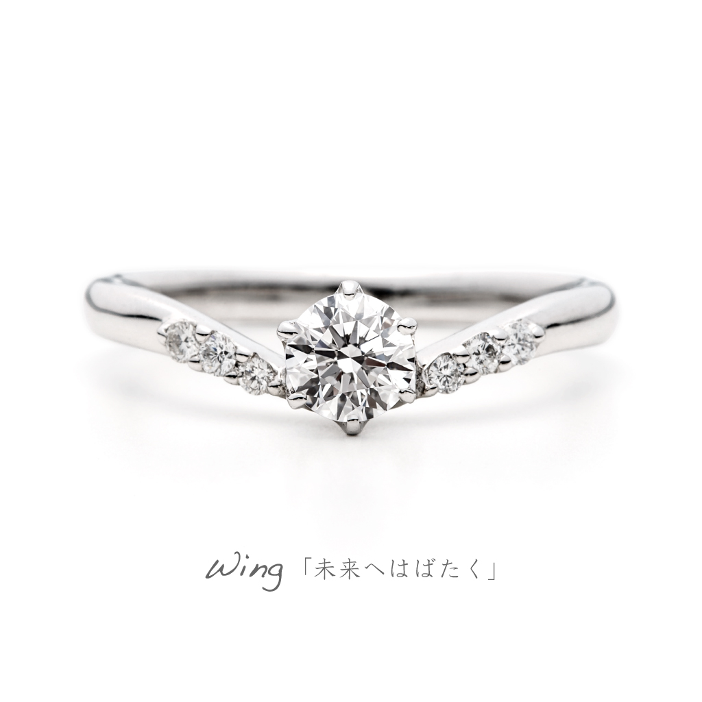 AFFLUX Wing 「未来へはばたく」