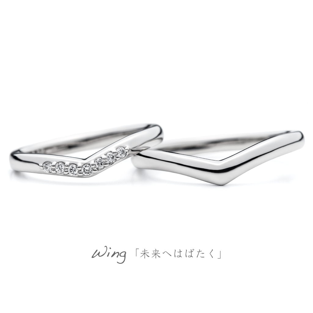 AFFLUX Wing 「未来へはばたく」